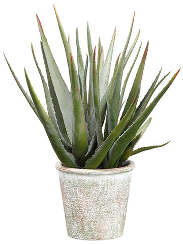16.5" Agave in Paper Mache Pot Green (pack of 2)