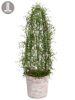 34" Angel Vine Dome in Clay Pot Green (pack of 1)