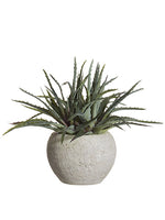 11" Soft PE Aloe in Terra Cotta Pot Green Gray (pack of 2)