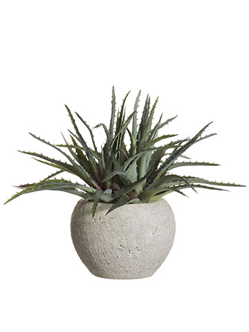 11" Soft PE Aloe in Terra Cotta Pot Green Gray (pack of 2)