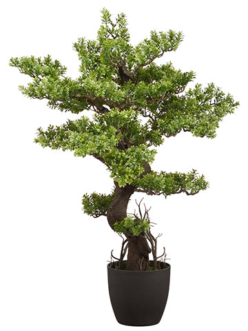 36.6" Boxwood Bonsai in Plastic Pot Green (pack of 2)