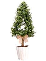 30" Cone-Shaped Boxwood Wall Topiary in Pot Green (pack of 2)