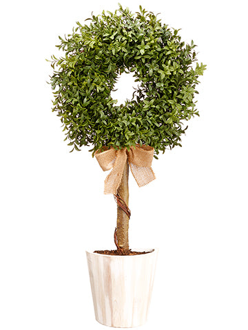 30" Boxwood Wall Topiary in Pot Green (pack of 2)