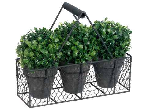 9.75" Boxwood Ball-Shaped Topiary in Paper Mache Pot x3 w/Metal Basket Green (pack of 4)