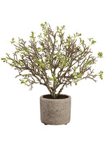 13" Plastic Button Leaf in Cement Pot Green (pack of 2)
