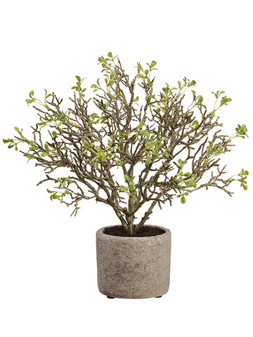 13" Plastic Button Leaf in Cement Pot Green (pack of 2)