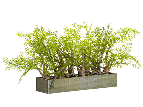 15"H X 10"W X 30"L Soft PE Cedar in Wood Planter Green (pack of 2)