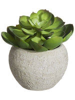 8" Soft PE Echeveria in Terra Cotta Pot Green Gray (pack of 2)
