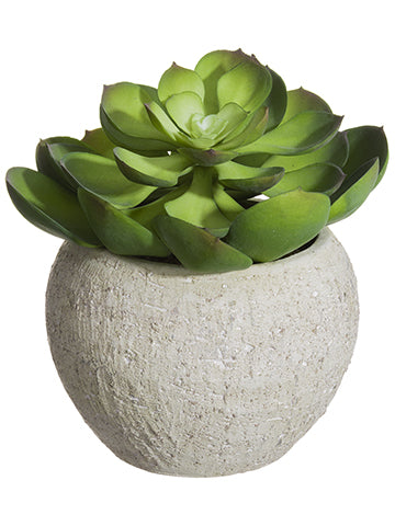 8" Soft PE Echeveria in Terra Cotta Pot Green Gray (pack of 2)