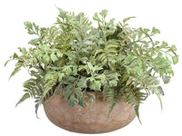 14" Mixed Fern in Terra Cotta Pot Green (pack of 1)