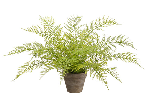 18" Soft Fern in Paper Mache Pot Green (pack of 2)