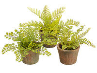6.5" Soft PE Fern in Terra Cotta Pot Assortment (3 ea/set) Two Tone Green (pack of 5)