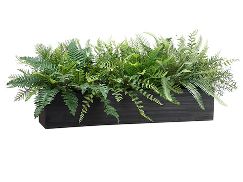 16"H Mixed Fern in Wood Box  Green (pack of 1)