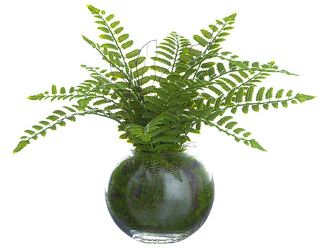 12" Boston Fern Plant in Glass Vase Green (pack of 4)
