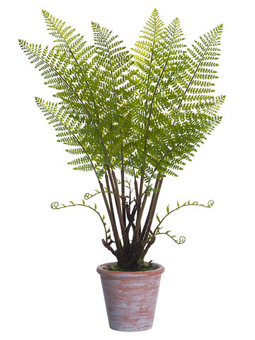 35" Forest Fern Plant in Paper Mache Pot Green (pack of 2)
