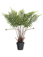27.5" Fern Plant in Plastic Pot Green (pack of 4)