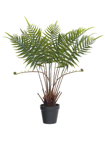 27.5" Fern Plant in Plastic Pot Green (pack of 4)