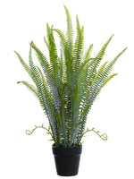 30" Sword Fern Plant in Plastic Pot Green (pack of 4)