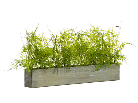 12"H X 8"W X 30"L Soft PE Asparagus Fern in Wood Pot Green (pack of 4)
