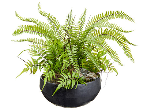 20"Hx24"D Fern Arrangement in Cement Pot Green (pack of 1)