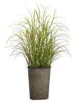 58" Grass in Tin Pot  Green (pack of 1)
