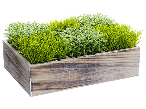4.5" Grass/Tea Leaf in Wood Box Two Tone Green (pack of 3)
