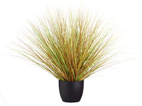 34" Grass Bush in Pot  Honey Green (pack of 2)