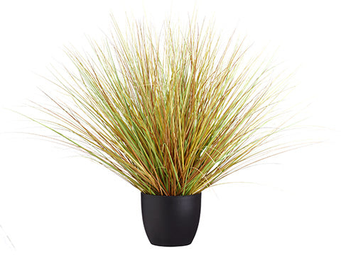34" Grass Bush in Pot  Honey Green (pack of 2)