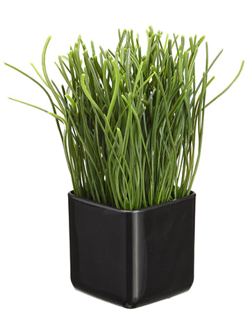 9.5" Grass in Pot  Green (pack of 12)