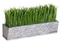 6.5" Grass in Rectangular Tin Planter Green (pack of 1)