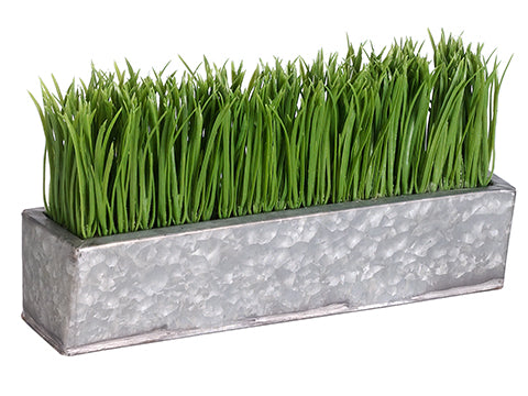 6.5" Grass in Rectangular Tin Planter Green (pack of 1)