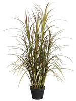 48" Grass Plant in Plastic Pot Burgundy Green (pack of 1)