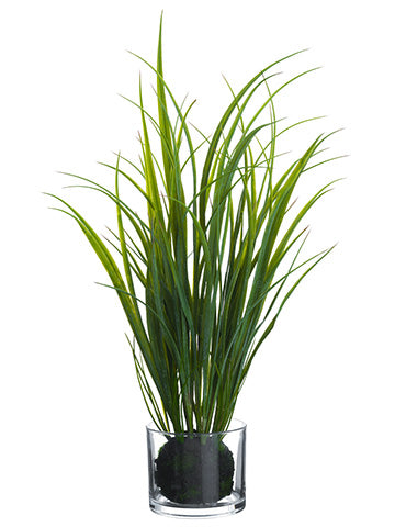 28" Grass in Glass Vase  Green (pack of 4)