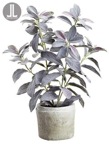 17" Sage in Clay Pot  Gray Green (pack of 6)