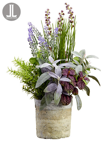17" Herb Garden/Lavender in Clay Pot Green Lavender (pack of 4)