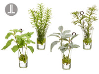 6.5"H-7.5"H Herb Garden Namecard Holder in Glass Vase (4 ea/set) Green Gray (pack of 3)