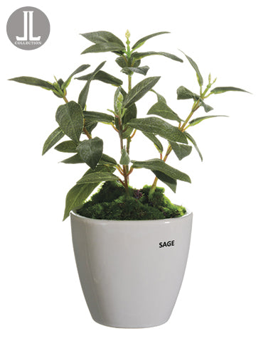 11" Sage in Ceramic Vase  Green (pack of 6)