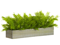 9"H X 7"W X 24"L Soft PE Juniper in Wood Planter Green (pack of 2)