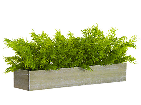 9"H X 7"W X 24"L Soft PE Juniper in Wood Planter Green (pack of 2)