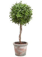18" Tea Leaf Ball Topiary in Terra Cotta Green (pack of 2)