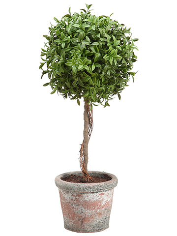 18" Tea Leaf Ball Topiary in Terra Cotta Green (pack of 2)