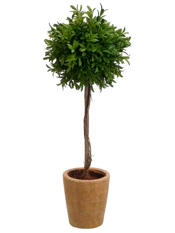 20" Tea Leaf Single Ball Topiary in Terra Cotta Pot Green (pack of 4)