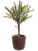 18" Myrtle Ball Topiary in Cement Pot Green (pack of 4)