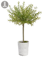 18" Myrtle Topiary x1 in Clay Pot Green (pack of 6)