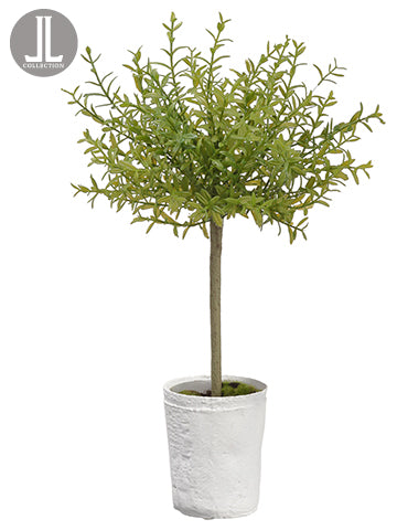 18" Myrtle Topiary x1 in Clay Pot Green (pack of 6)