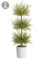 32" Myrtle Topiary x3 in Clay Pot Green (pack of 2)