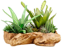 14" Succulent Garden in Faux Wood Log Green (pack of 1)