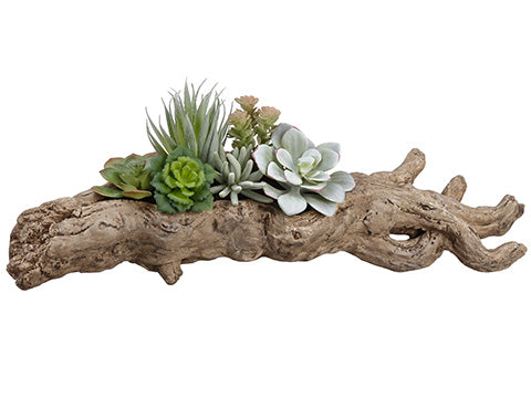 6.5" Succulent Garden in Faux Wood Planter Green (pack of 2)