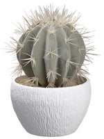 7.5" Barrel Cactus in Plastic Pot Green Gray (pack of 4)