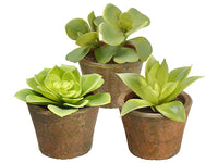 4-5" Soft PVC Kalanchoe/echeve Echeveria in Terra Cotta Pot Assortment (3 ea/set) Two Tone (pack of 5)